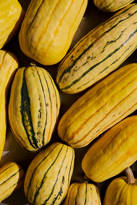 Nigel Slater’s stuffed squash with Gruyère and sauerkraut