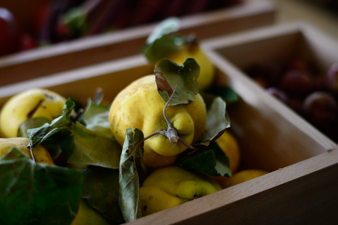 Poached Quince