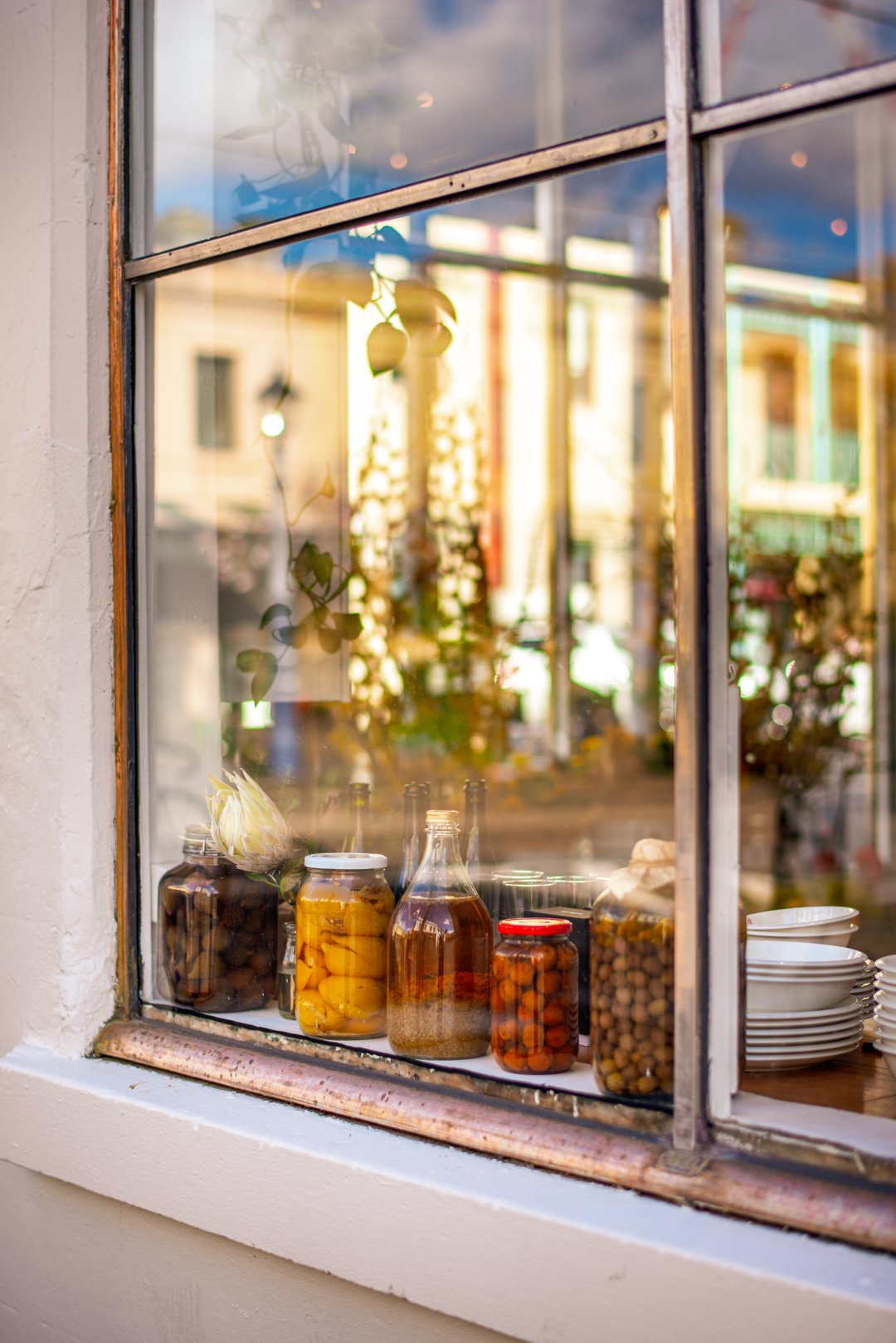 Recipe: preserved lemons