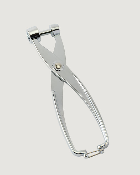 Cherry & Olive Pitter