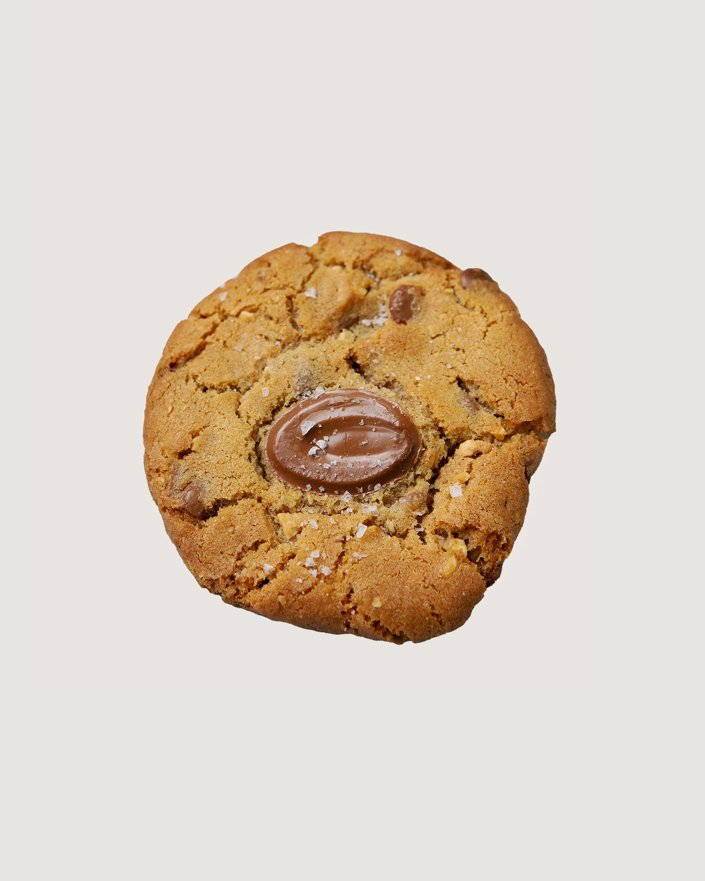 Hazelnut Cookie